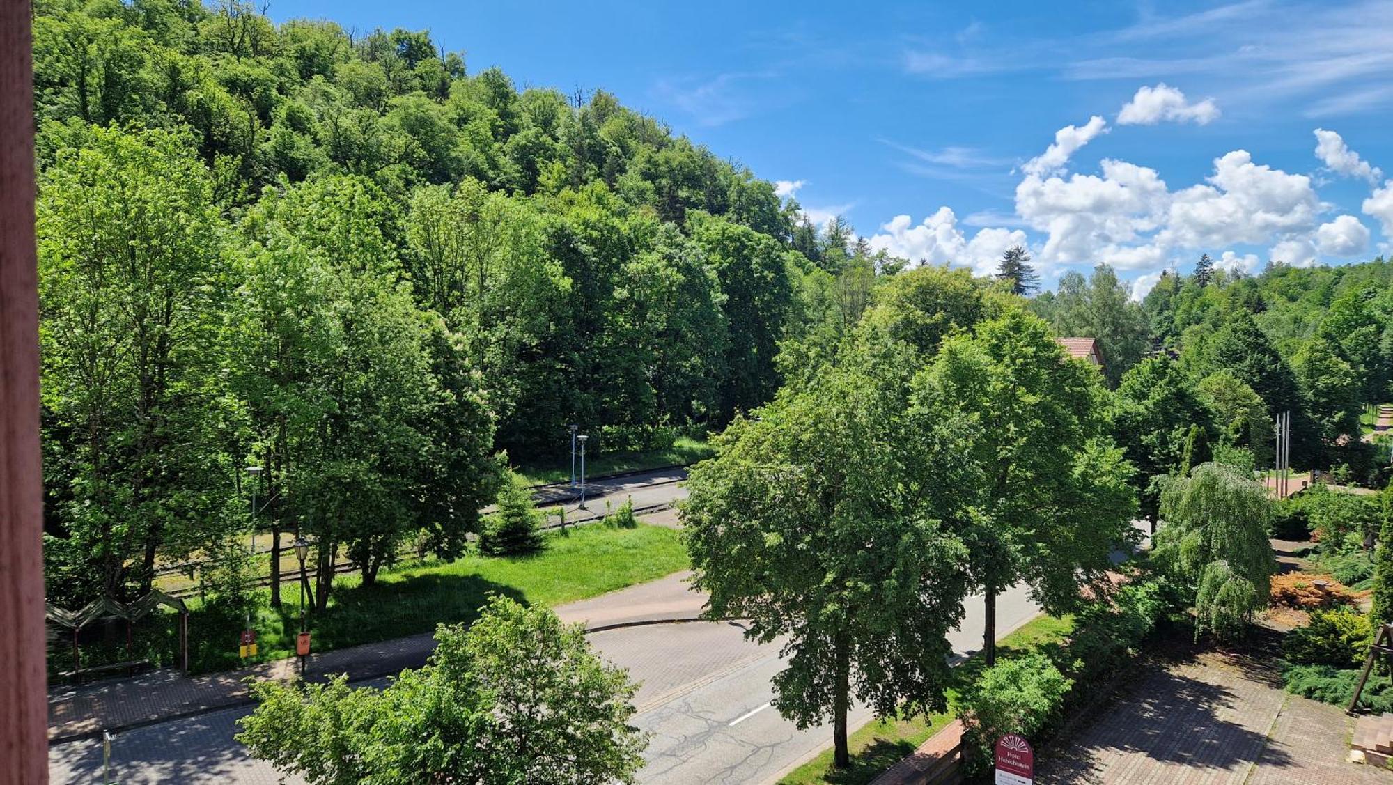 Hotel Habichtstein Alexisbad Dış mekan fotoğraf